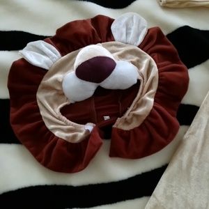 Adorable Lion costume